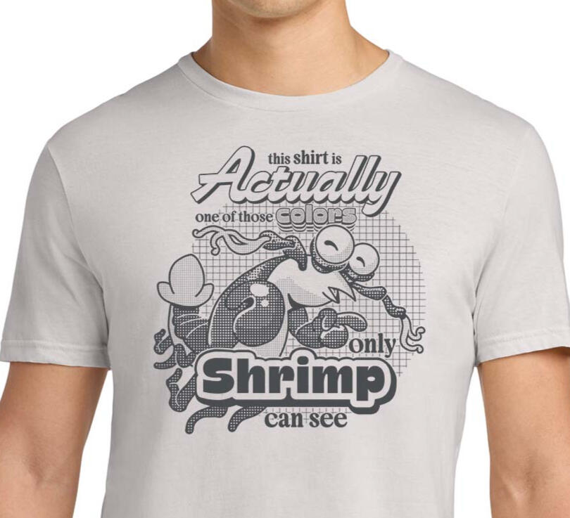 Shrimp Colors Shirt